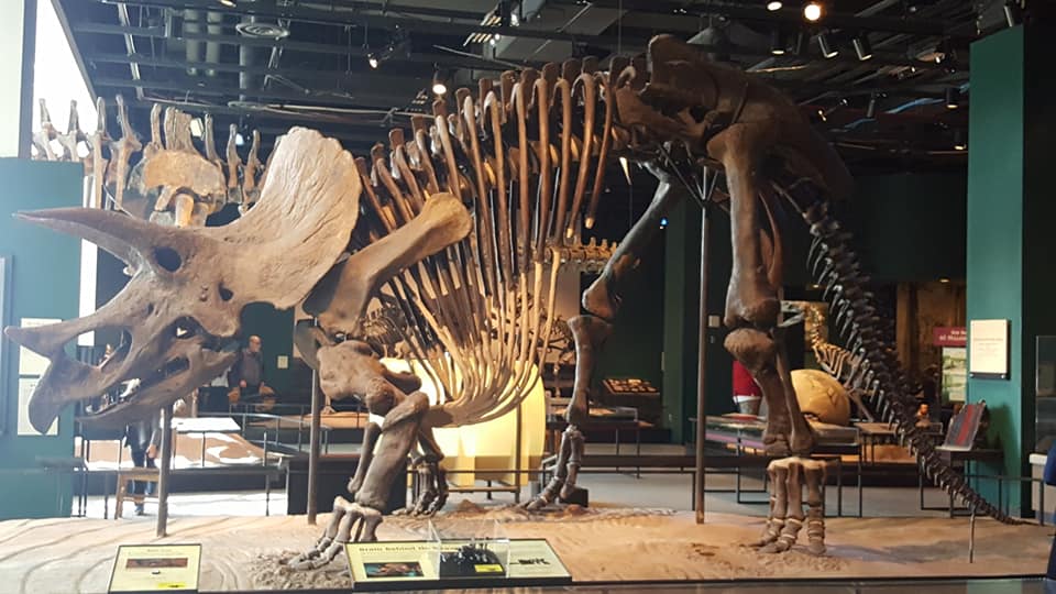 Science Museum of Minnesota