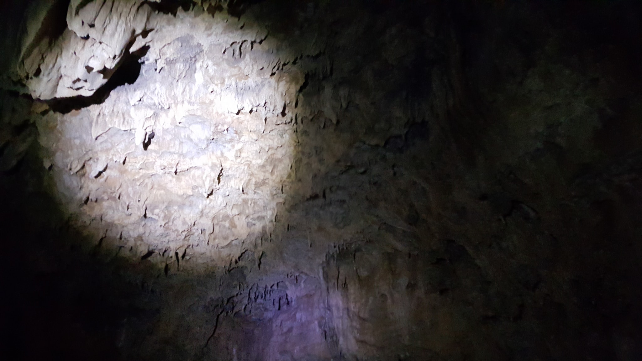 Cave on the Current River