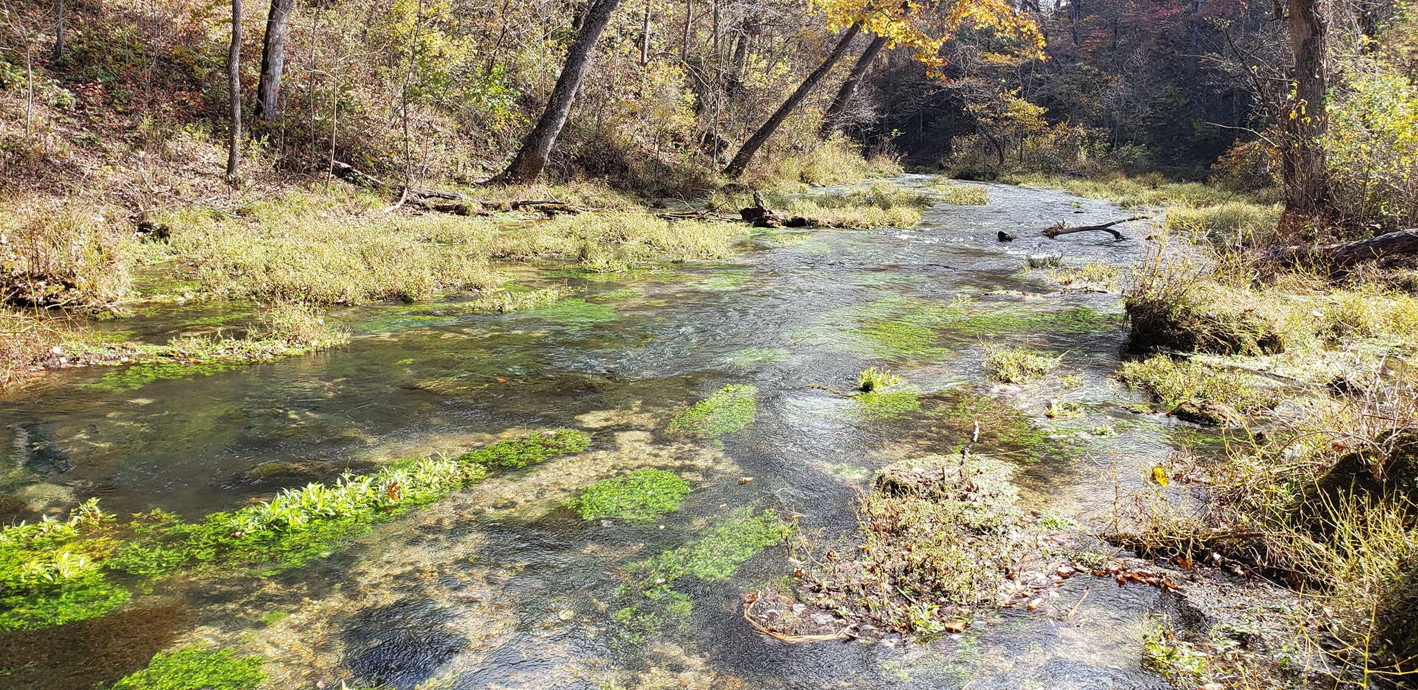 Pultite Spring on the Current River in Missouri